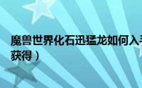 魔兽世界化石迅猛龙如何入手快（魔兽世界化石迅猛龙如何获得）