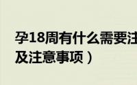孕18周有什么需要注意的吗（怀孕18周症状及注意事项）