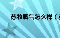 苏牧脾气怎么样（苏牧犬性格温和吗）
