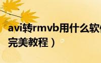 avi转rmvb用什么软件（RMVB转AVI转换器完美教程）