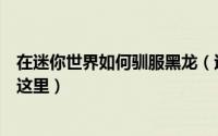 在迷你世界如何驯服黑龙（迷你世界怎么驯服黑龙答案就在这里）