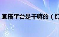 宜搭平台是干嘛的（钉钉宜搭平台功能介绍）