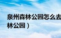 泉州森林公园怎么去（泉州自游行攻略---森林公园）