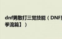 dnf男散打三觉技能（DNF男气功二觉加点和装备选择【猫拳流篇】）