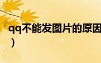 qq不能发图片的原因（QQ不能发图片怎么办）
