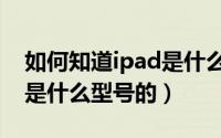 如何知道ipad是什么型号的（如何知道ipad是什么型号的）
