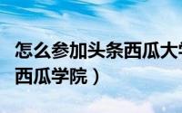 怎么参加头条西瓜大学（怎么参加头条号上的西瓜学院）