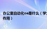 办公室自动化oa是什么（学大oa办公自动化系统有哪些显著作用）