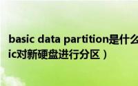 basic data partition是什么分区（怎样使用Partition Magic对新硬盘进行分区）