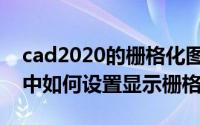 cad2020的栅格化图像在哪（cad2020软件中如何设置显示栅格）