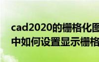 cad2020的栅格化图像在哪（cad2020软件中如何设置显示栅格）