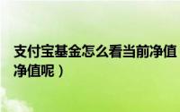 支付宝基金怎么看当前净值（支付宝持有的基金怎么看历史净值呢）