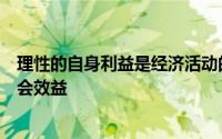 理性的自身利益是经济活动的关键并且作为副产品将产生社会效益