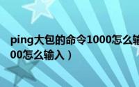 ping大包的命令1000怎么输入交换机（ping大包的命令1000怎么输入）