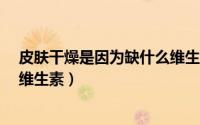 皮肤干燥是因为缺什么维生素?（护肤讲堂皮肤干燥缺什么维生素）