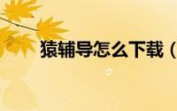 猿辅导怎么下载（猿辅导怎么下载）