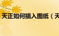 天正如何插入图纸（天正如何插入图库图案）