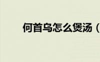 何首乌怎么煲汤（何首乌怎么食用）