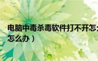 电脑中毒杀毒软件打不开怎么办（电脑中毒杀毒软件打不开怎么办）