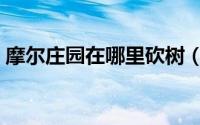 摩尔庄园在哪里砍树（摩尔庄园在哪钓鲨鱼）