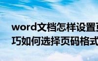 word文档怎样设置页码格式（word应用技巧如何选择页码格式）