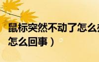 鼠标突然不动了怎么办灯亮（鼠标突然不动了怎么回事）