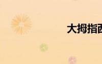 大拇指西游副本