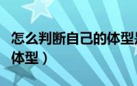 怎么判断自己的体型是什么（怎么判断自己的体型）