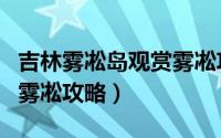 吉林雾凇岛观赏雾凇攻略图（吉林雾凇岛观赏雾凇攻略）
