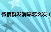 微信群发消息怎么发（微信群发消息怎么发）