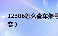 12306怎么查车架号（12306怎么查车次状态）