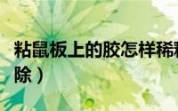 粘鼠板上的胶怎样稀释（粘鼠板上的胶怎么去除）
