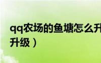qq农场的鱼塘怎么升级（qq农场的鱼塘怎么升级）