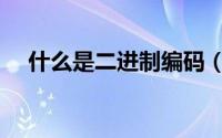 什么是二进制编码（什么是二进制编码）