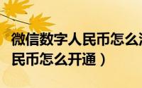 微信数字人民币怎么没有收款码（微信数字人民币怎么开通）