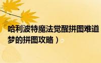哈利波特魔法觉醒拼图难道（哈利波特魔法觉醒噩梦或是美梦的拼图攻略）