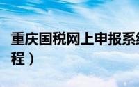 重庆国税网上申报系统（重庆国税网上申报教程）