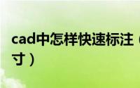 cad中怎样快速标注（CAD中怎样快速标注尺寸）