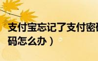 支付宝忘记了支付密码（支付宝忘记了支付密码怎么办）