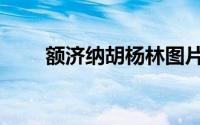 额济纳胡杨林图片（额济纳旗攻略）