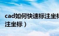 cad如何快速标注坐标插件（CAD如何快速标注坐标）