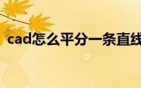 cad怎么平分一条直线（cad怎么平移图形）