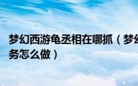 梦幻西游龟丞相在哪抓（梦幻西游 手游龟丞相的大象表演任务怎么做）
