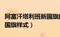 阿富汗塔利班新国旗的含义（阿富汗塔利班新国旗样式）