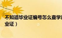 不知道毕业证编号怎么查学历（不知道毕业证编号怎么查毕业证）