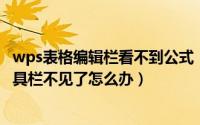 wps表格编辑栏看不到公式（WPS技巧文档公式编辑器中工具栏不见了怎么办）