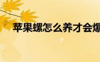 苹果螺怎么养才会爆缸（苹果螺怎么养）