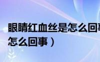 眼睛红血丝是怎么回事眼白黄（眼睛红血丝是怎么回事）