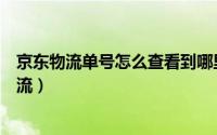 京东物流单号怎么查看到哪里了（京东物流单号怎么查询物流）