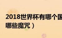 2018世界杯有哪个国家举办（2018世界杯有哪些魔咒）